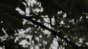 Igor Shudra, center right, kisses his wife Alisa Lakhtiuk as they pose for photos after their wedding ceremony in Kyiv, Ukraine, Thursday, July 27, 2023. (AP Photo/Jae C. Hong)