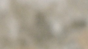 Channing Tatum estrena su relación en la alfombra roja de ‘Demon Slayer’