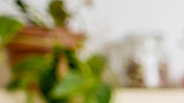 ¿Eres feliz?: conoce los mejores alimentos para aumentar la felicidad, según un estudio