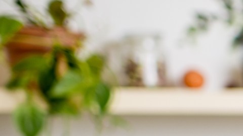 ¿Eres feliz?: conoce los mejores alimentos para aumentar la felicidad, según un estudio