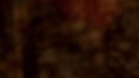 El cantante Elvis Crespo (i) y el exsecretario de Educación (2021-2025) Miguel Cardona, ambos de origen puertorriqueño, recibirán la Medalla de Excelencia del ,(CHCI).