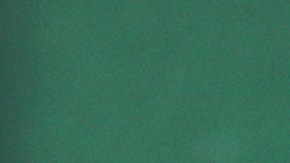 Cuentas Trump para recién nacidos