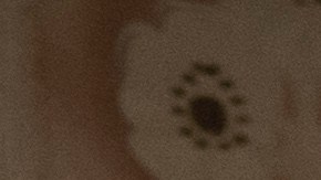 "El Dentista" es la nueva serie de ViX, una coproducción con Movistar Plus+.