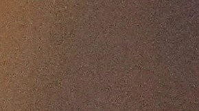 Funcionaria agregó que el tráfico de drogas ocupa el segundo lugar en las actividades ilícitas dentro del país norteamericano.