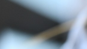 Espacios de sanación: fundamentales en la lucha contra la depresión y prevención del suicidio