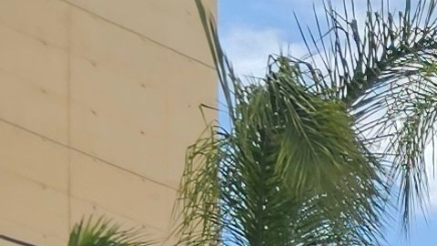 Tony Luna cumplirá 15 años como diácono en la Diócesis del condado de Orange.