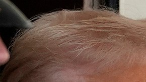 Donald Trump y Nayib Bukele