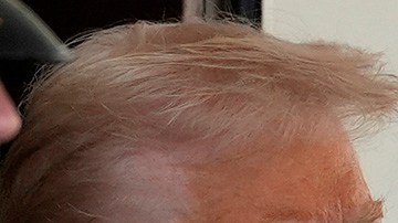 Donald Trump y Nayib Bukele