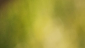 ¿Es recomendable hacer ejercicio en ayunas?: beneficios y riesgos