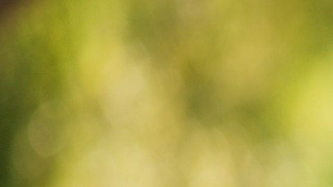 ¿Es recomendable hacer ejercicio en ayunas?: beneficios y riesgos