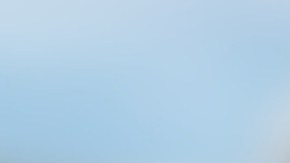 Gustavo Botello Rodríguez, alias “El Viejón”