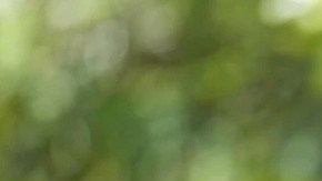 El presidente de Colombia, Gustavo Petro, afirmó que han trabajado durante años para evitar que la sociedad norteamericana se ensucie las narices.