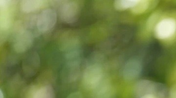 El presidente de Colombia, Gustavo Petro, afirmó que han trabajado durante años para evitar que la sociedad norteamericana se ensucie las narices.