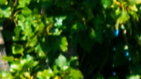 Electronic Arts será adquirida por grupo inversor en millonario trato