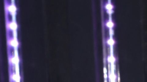 Emilio Osorio