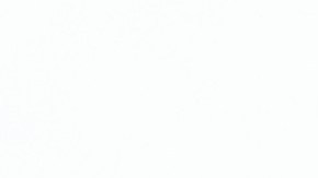 Encuesta sobre gasto navideño