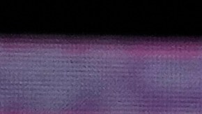 Entre los oradores se encontraban el presidente Trump, el vicepresidente JD Vance y la viuda de Kirk, Erika Kirk.