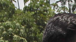 Felipe Cáceres García