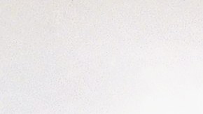 Nailah Akbar, 16, a member of the Queue Up Richland Farms Jr. Posse equestrian group from Compton, Calif., holds a Mexican flag while waiting to participate in a parade for ?Fiestas 16,? a three-day-event celebrating Mexican Independence Day in Los Angeles on Sunday, Sept. 14, 1997. (AP Photo/Seanna O?Sullivan)