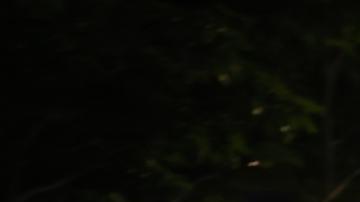 Terremoto en Filipinas