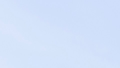 Los 5 artículos más populares de otoño en Five Below