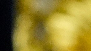 Trump también firmó la orden que habilita la Gold Card por el pago de $1 millón.