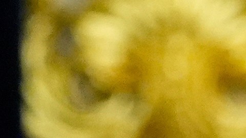 Trump también firmó la orden que habilita la Gold Card por el pago de $1 millón.