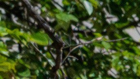 Soldados de la Guardia Nacional de Louisiana patrullan el Mall en Washington D.C.