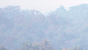 Helicóptero militar