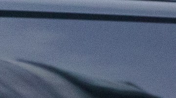 La mayoría de inmigrantes afirmaron haber dejado en Estados Unidos por lo menos a un familiar.