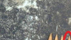 Una bala encontrada tiene un mensaje contra ICE.