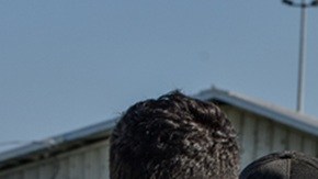 ICE realiza redadas en centros de trabajo contra cualquier indocumentado.