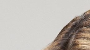 Paco y Cristina se postulan como posibles favoritos para ganar la cuarta temporada de Top Chef VIP.