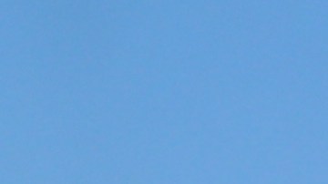 100 retratos de los "desaparecidos" por ICE se exhibieron frente al Centro Metropolitano de Detención de Los Angeles.