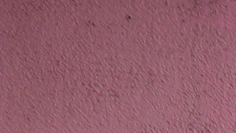 Activistas y familiares de los detenidos piden apoyo a la comunidad para frenar las redadas en los lavado de autos.