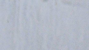 San Luis, San Luis, 6 de Julio de 2024. Javairo Dilrosun, durante el partido correspondiente a la jornada 1 del torneo Apertura 2024 de la Liga BBVA MX, entre los Potosinos del Atlético de San Luis y las águilas del América, celebrado en el estadio Alfonso Lastras. Foto: Imago7/ Olimpia Puga