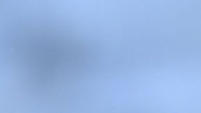 El útimo gran torneo de Paco Memo fue la Copa Oro, aunque no tuvo minutos de juego.