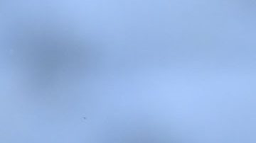 El útimo gran torneo de Paco Memo fue la Copa Oro, aunque no tuvo minutos de juego.