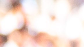 Las Chivas solo tienen una victoria en el Apertura 2025.