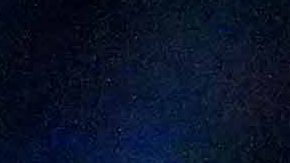 Antonio Mohamed busca defender su título en el Apertura 2025.