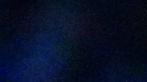 Antonio Mohamed busca defender su título en el Apertura 2025.
