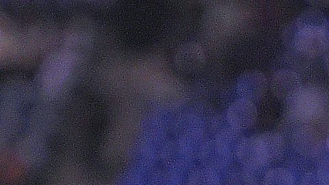 Sergio Canales marcó un triplete este fin de semana.