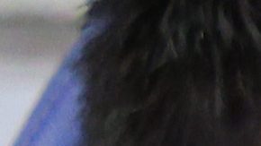 Milito ha dirigido 12 partidos con las Chivas.