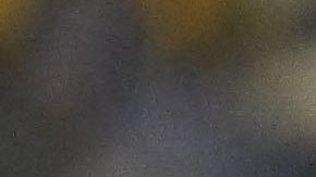 Ciudad de México, 13 de septiembre de 2025. @@@@@, durante el partido correspondiente a la jornada 8 del torneo Apertura 2025 de la Liga BBVA MX, entre las Águilas del América y las Chivas Rayadas del Guadalajara, realizado en el estadio Ciudad de los Deportes. Foto: Imago7/ Etzel Espinosa