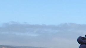 Trabajadores mexicanos en campos de cultivo estadounidenses