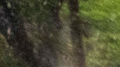 Jeffrey Raines clears debris from a mudslide at his parent's home during a rainstorm, Monday, Feb. 5, 2024, in Los Angeles. The second of back-to-back atmospheric rivers took aim at Southern California, unleashing mudslides, flooding roadways and knocking out power as the soggy state braced for another day of heavy rains. (AP Photo/Ethan Swope)