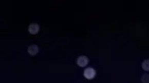 Jimmy Kimmel es una de las figuras más reconocidas de la televisión estadounidense.