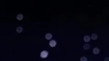 Jimmy Kimmel es una de las figuras más reconocidas de la televisión estadounidense.