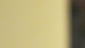 Joe Biden, expresidente de la nación