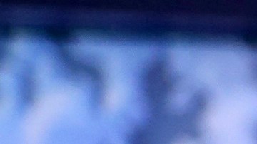 Jorge Ramos y Paola Ramos unen fuerzas en nuevo podcast en inglés